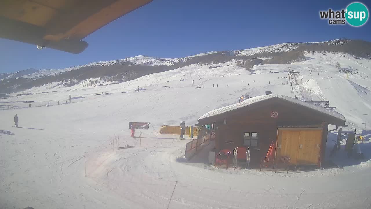 Livigno piste da sci webcam | Livigno ski