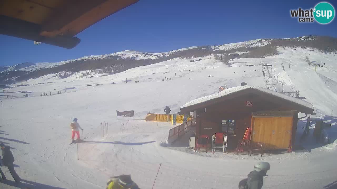 Livigno piste da sci webcam | Livigno ski