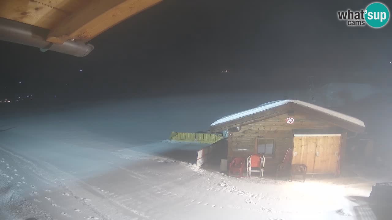 Livigno piste da sci webcam | Livigno ski