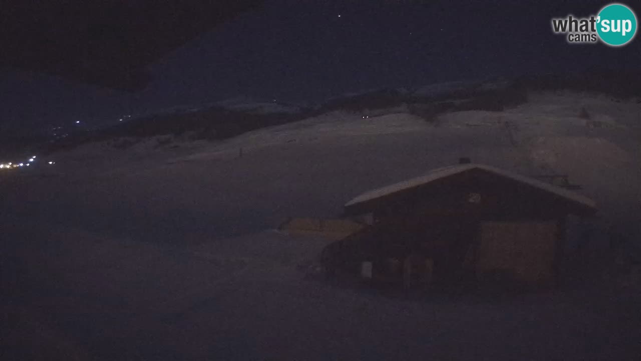 Livigno piste da sci webcam | Livigno ski