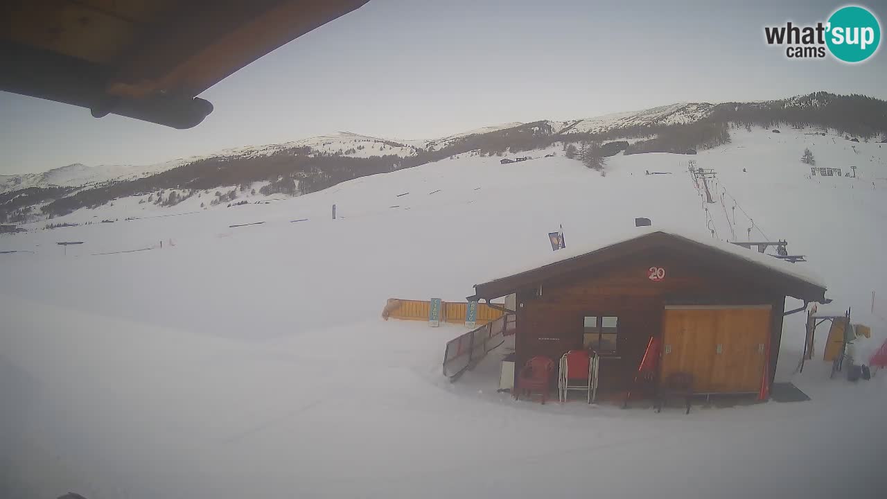 Livigno piste da sci webcam | Livigno ski