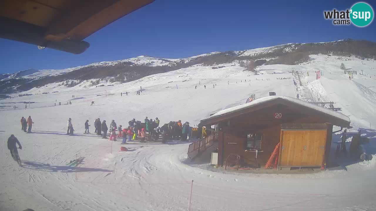 Livigno piste da sci webcam | Livigno ski