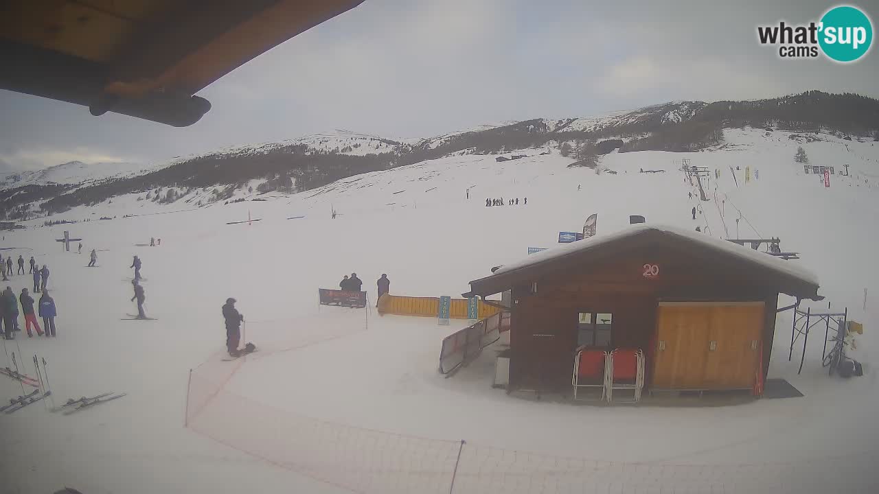 Livigno piste da sci webcam | Livigno ski