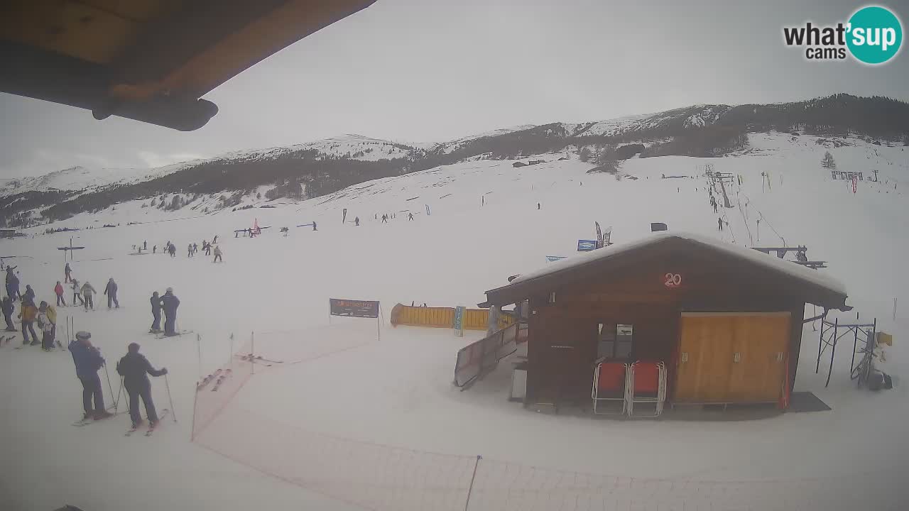 Webcam SKI Livigno snow forecast – ski area