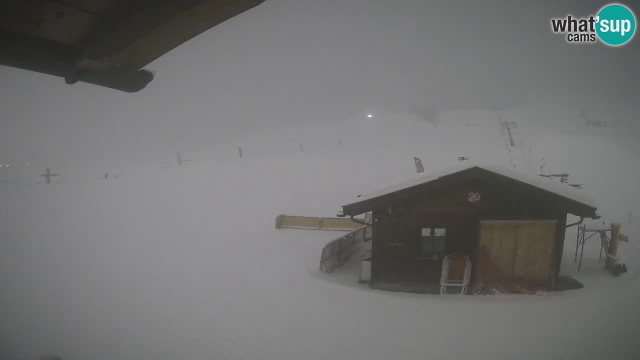 Livigno piste da sci webcam | Livigno ski