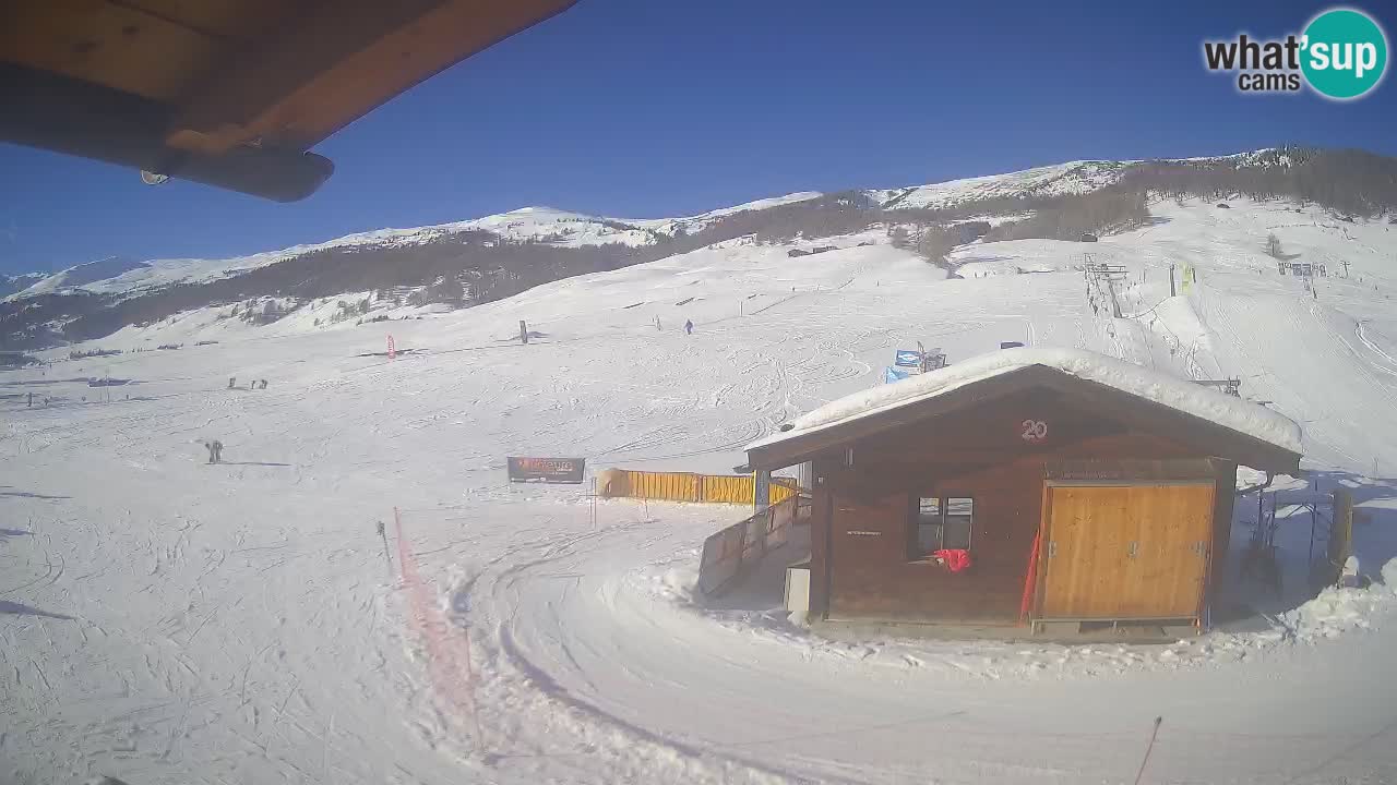 Livigno piste da sci webcam | Livigno ski