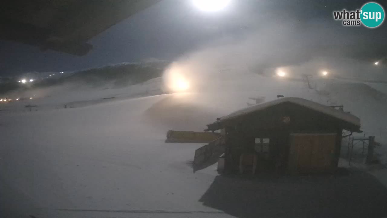 Livigno piste da sci webcam | Livigno ski