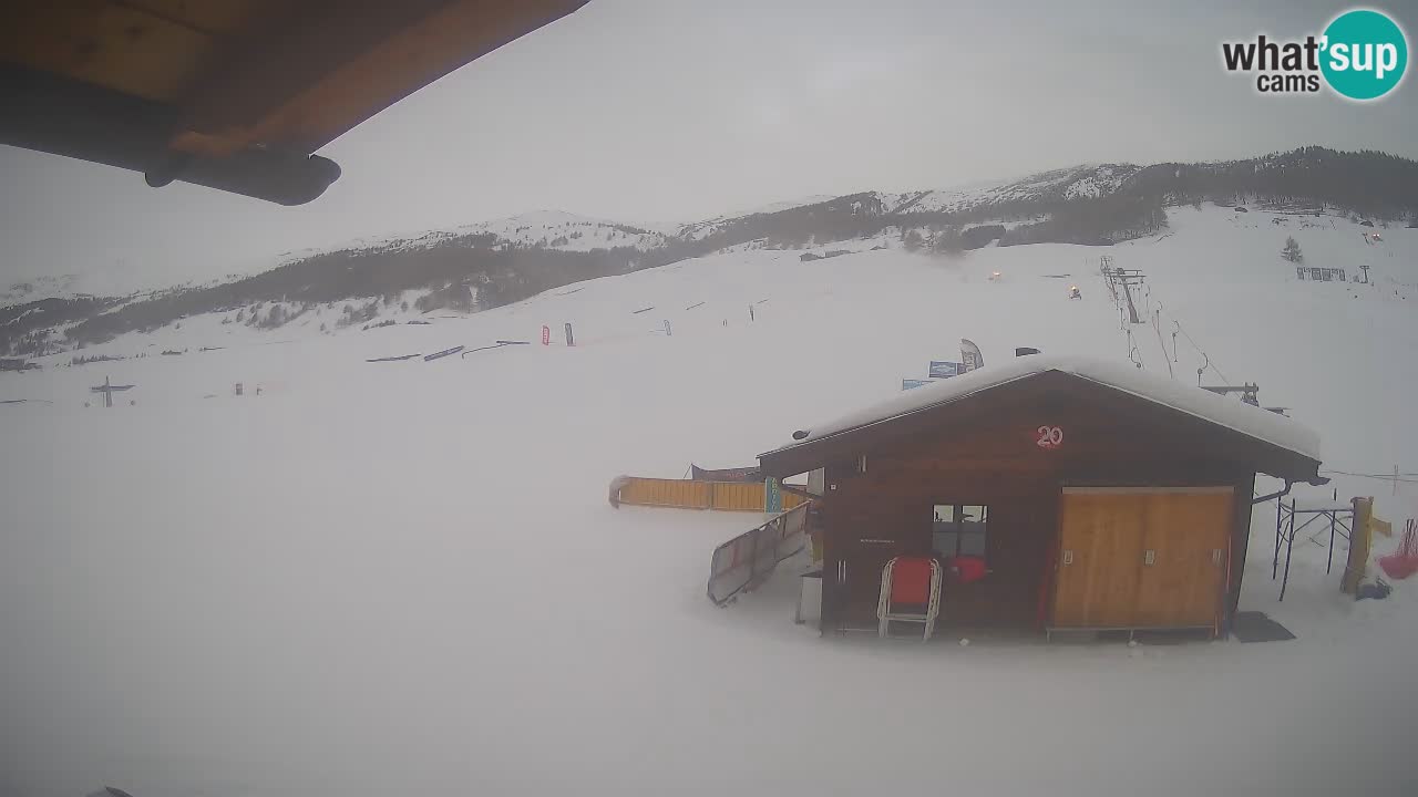 Webcam SKI Livigno snow forecast – ski area