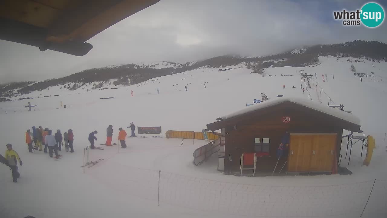 Livigno piste da sci webcam | Livigno ski