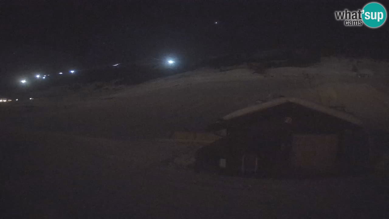 Livigno piste da sci webcam | Livigno ski