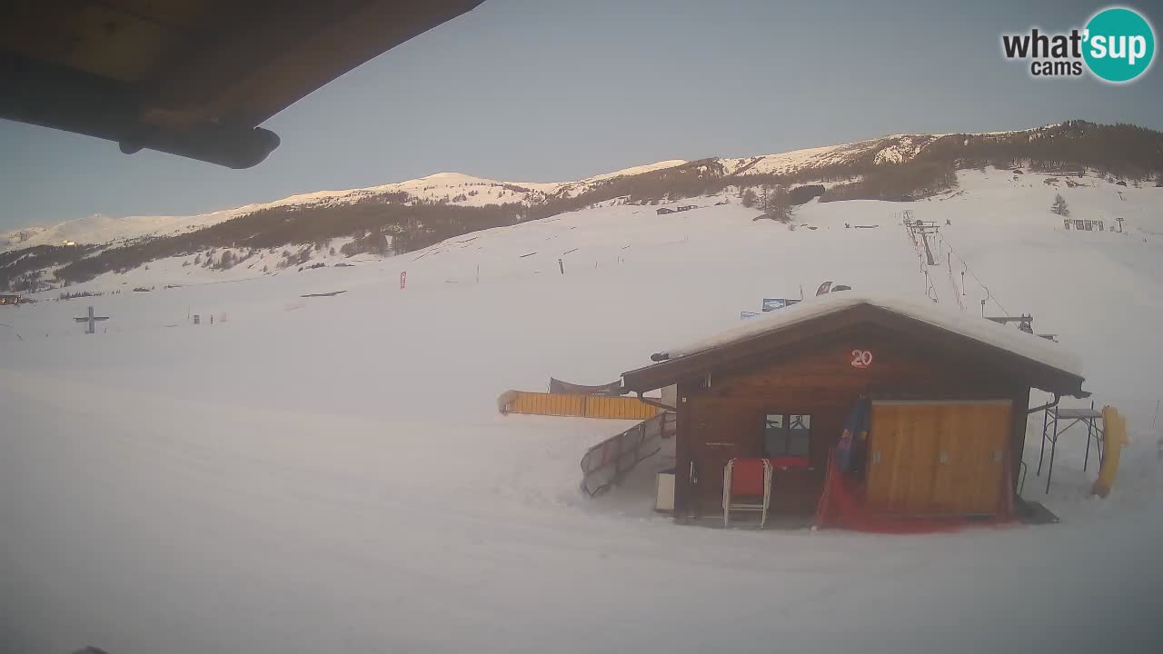 Livigno piste da sci webcam | Livigno ski