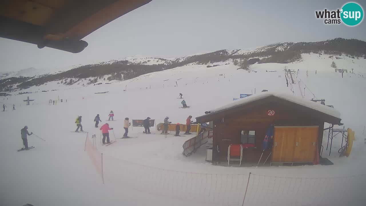 Webcam SKI Livigno snow forecast – ski area