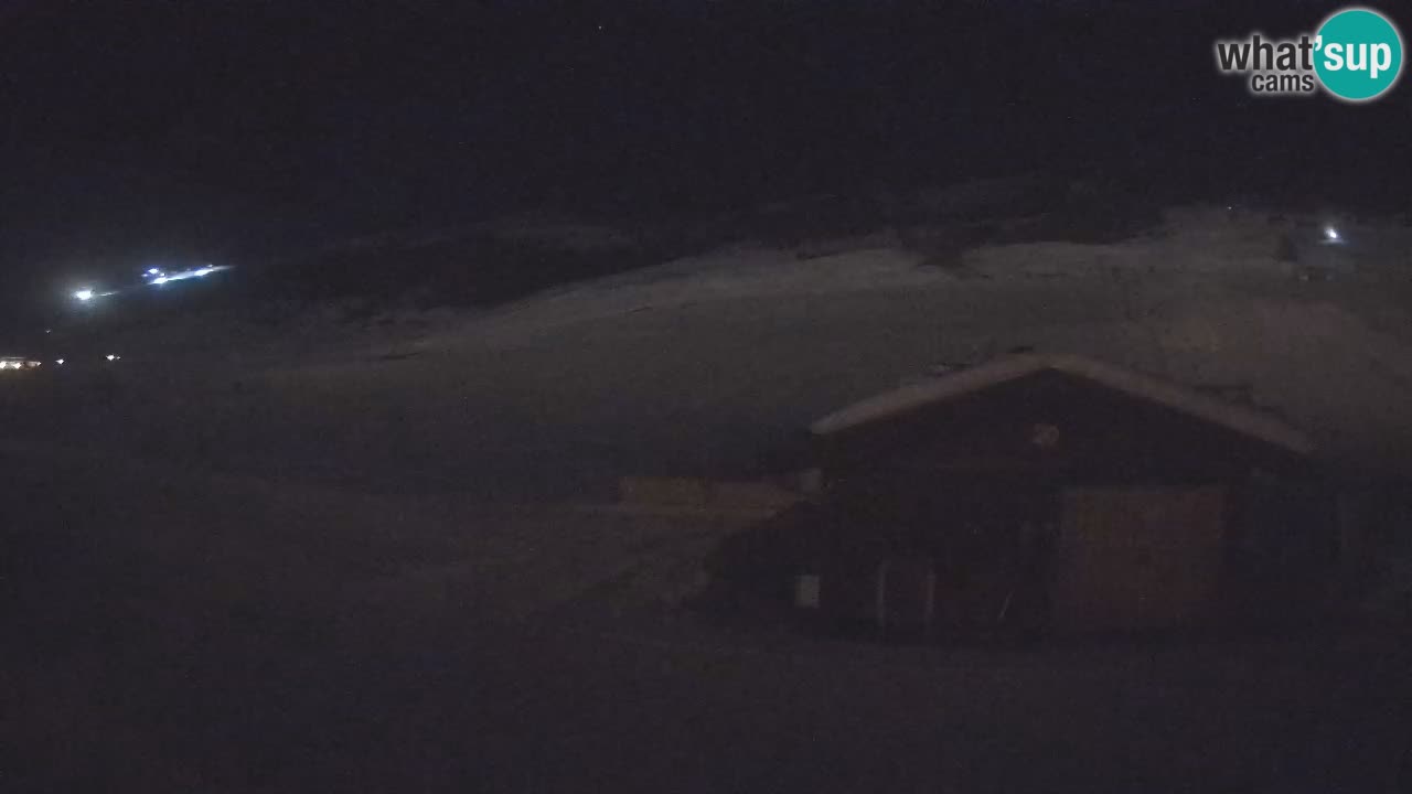 Livigno piste da sci webcam | Livigno ski