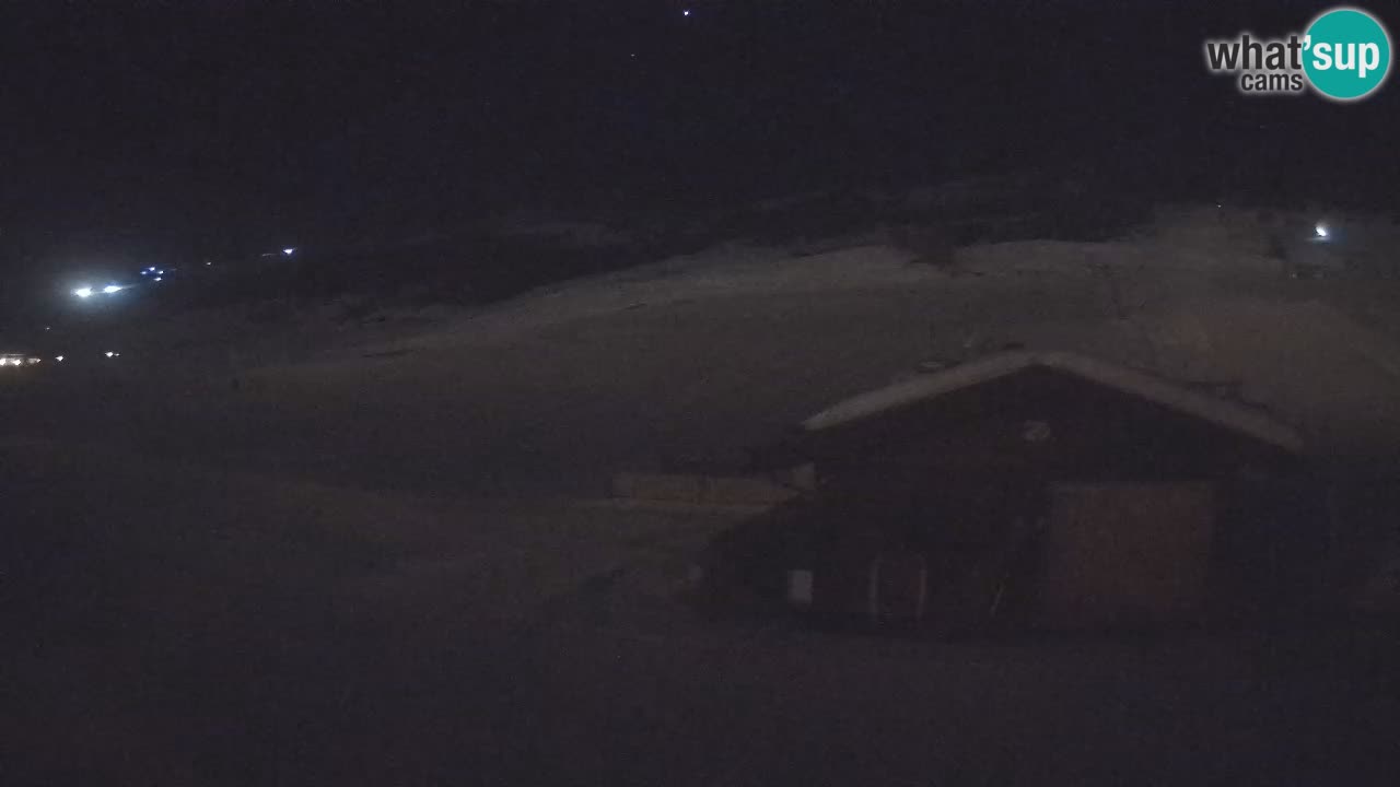 Livigno piste da sci webcam | Livigno ski