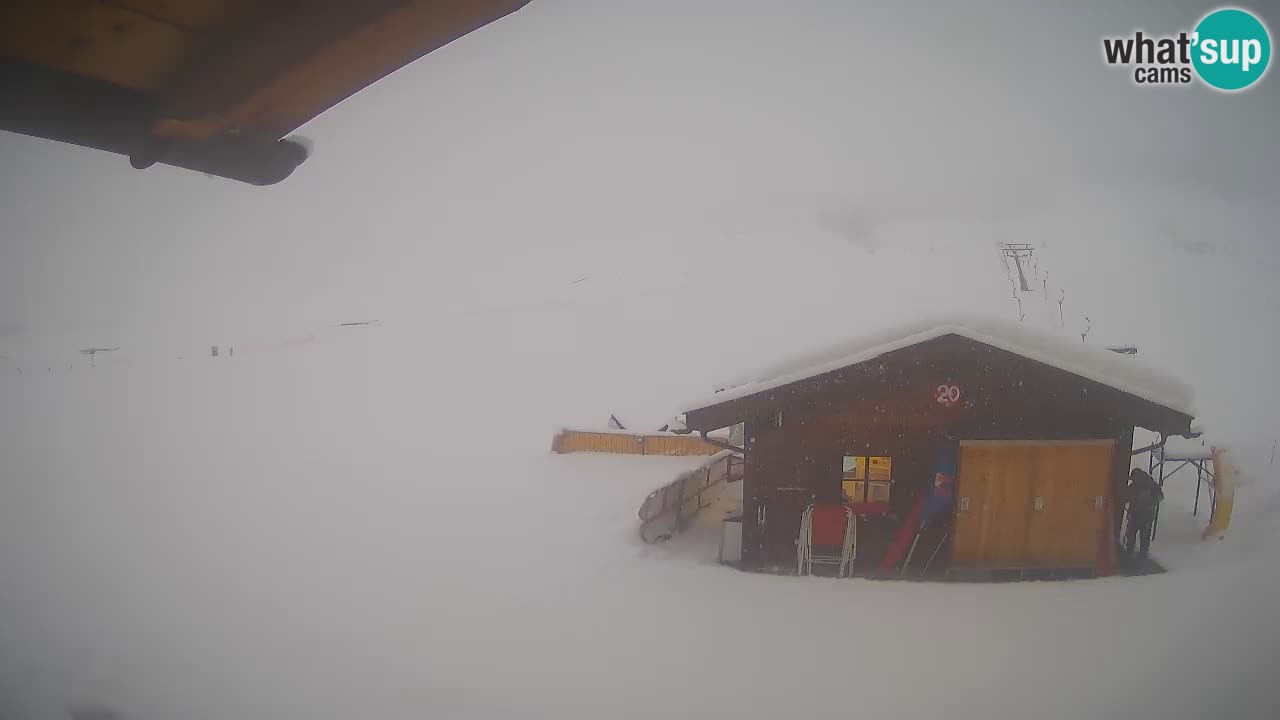 Livigno piste da sci webcam | Livigno ski