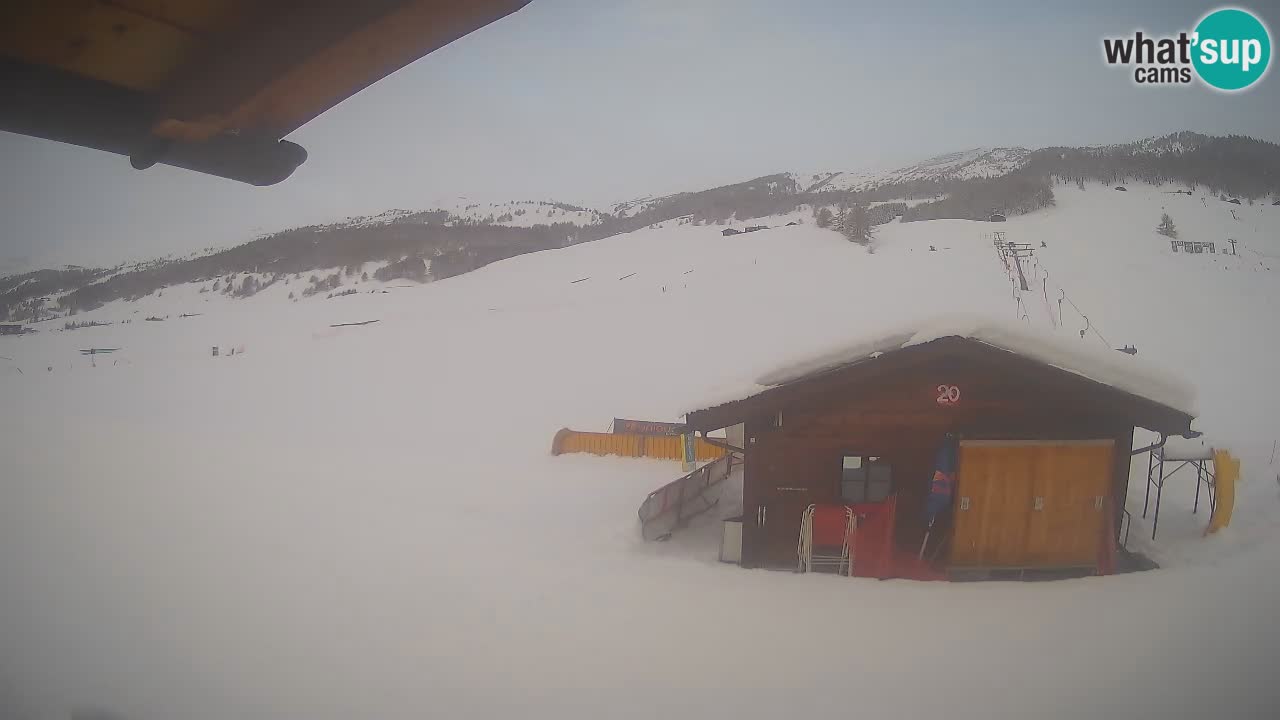 Livigno piste da sci webcam | Livigno ski