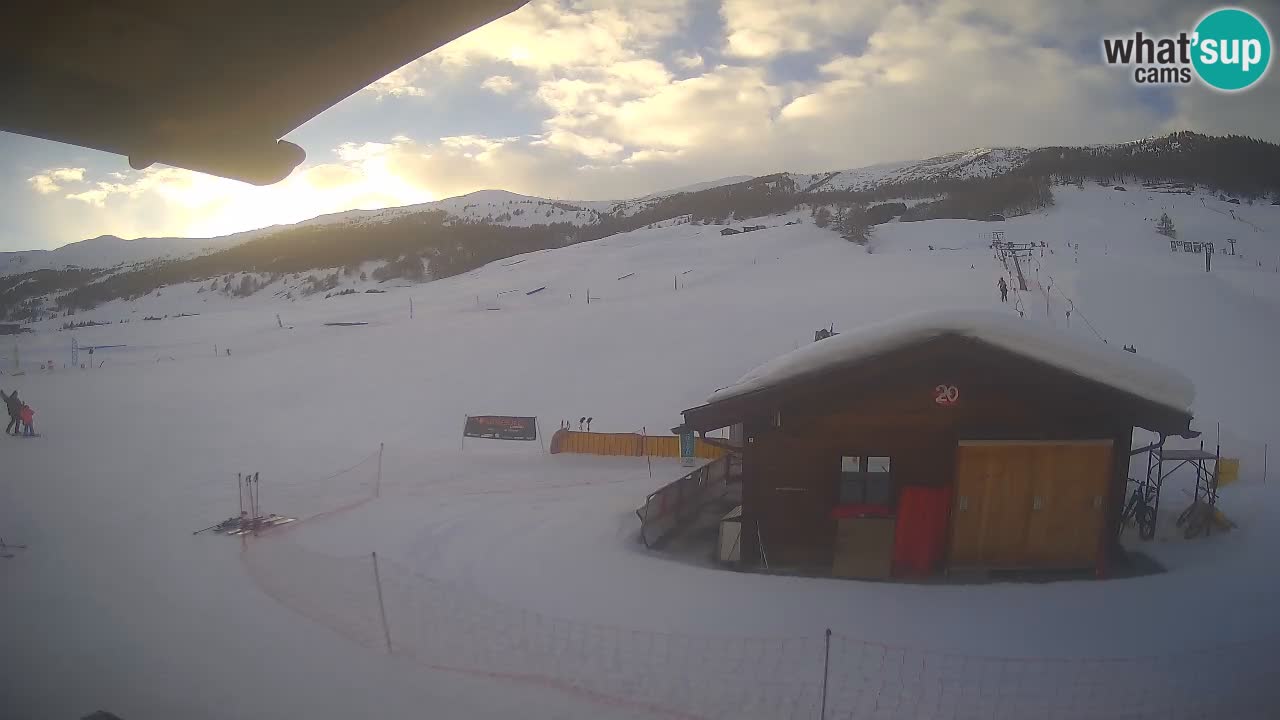 Livigno piste da sci webcam | Livigno ski