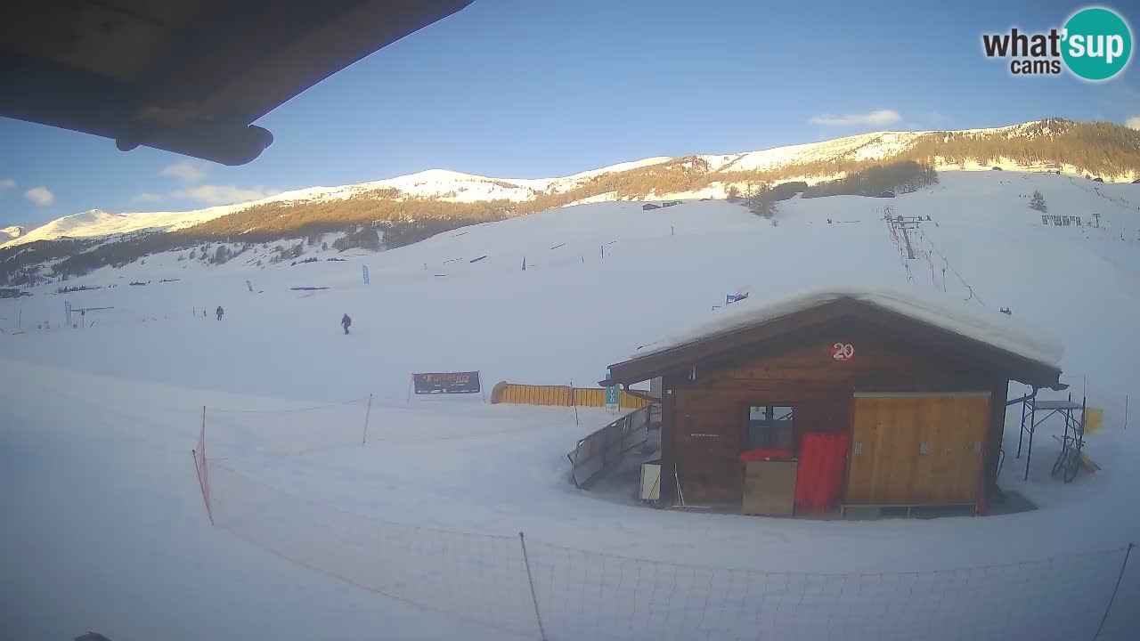 Livigno piste da sci webcam | Livigno ski