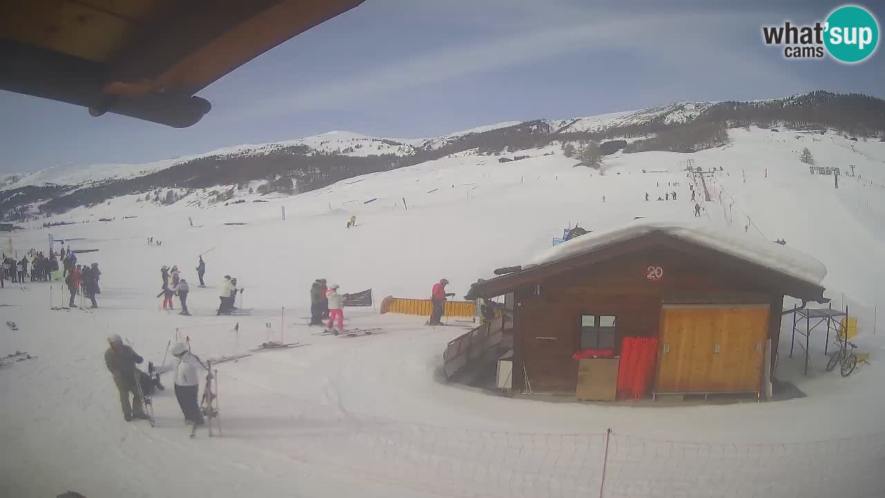 Livigno piste da sci webcam | Livigno ski