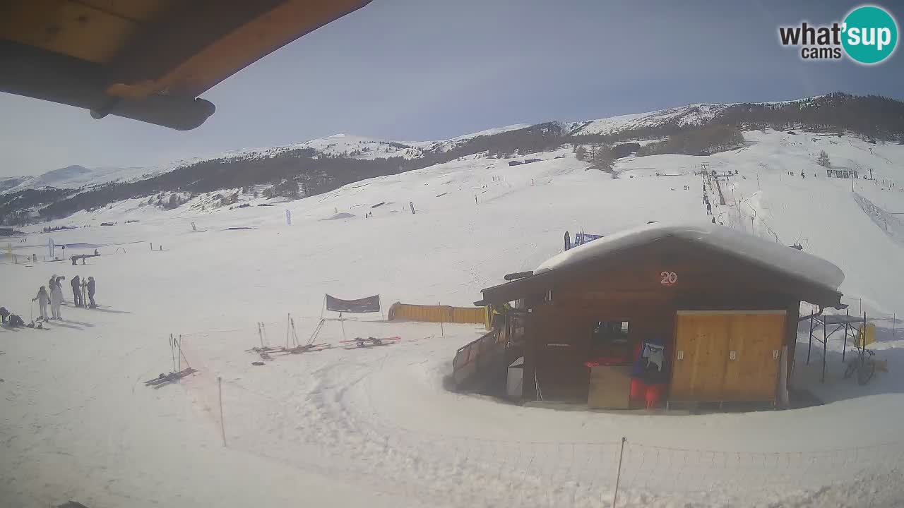 Livigno piste da sci webcam | Livigno ski