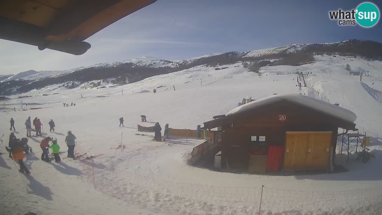 Livigno piste da sci webcam | Livigno ski