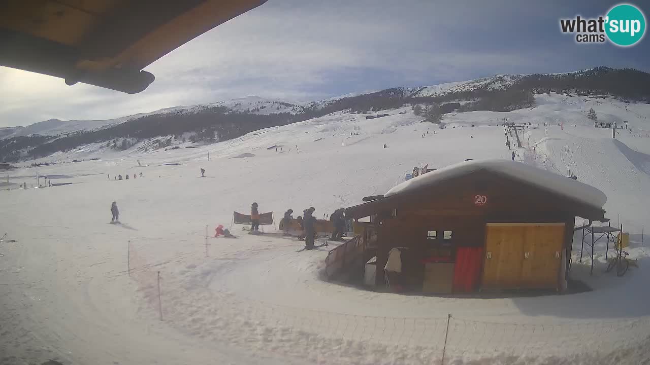 Livigno piste da sci webcam | Livigno ski