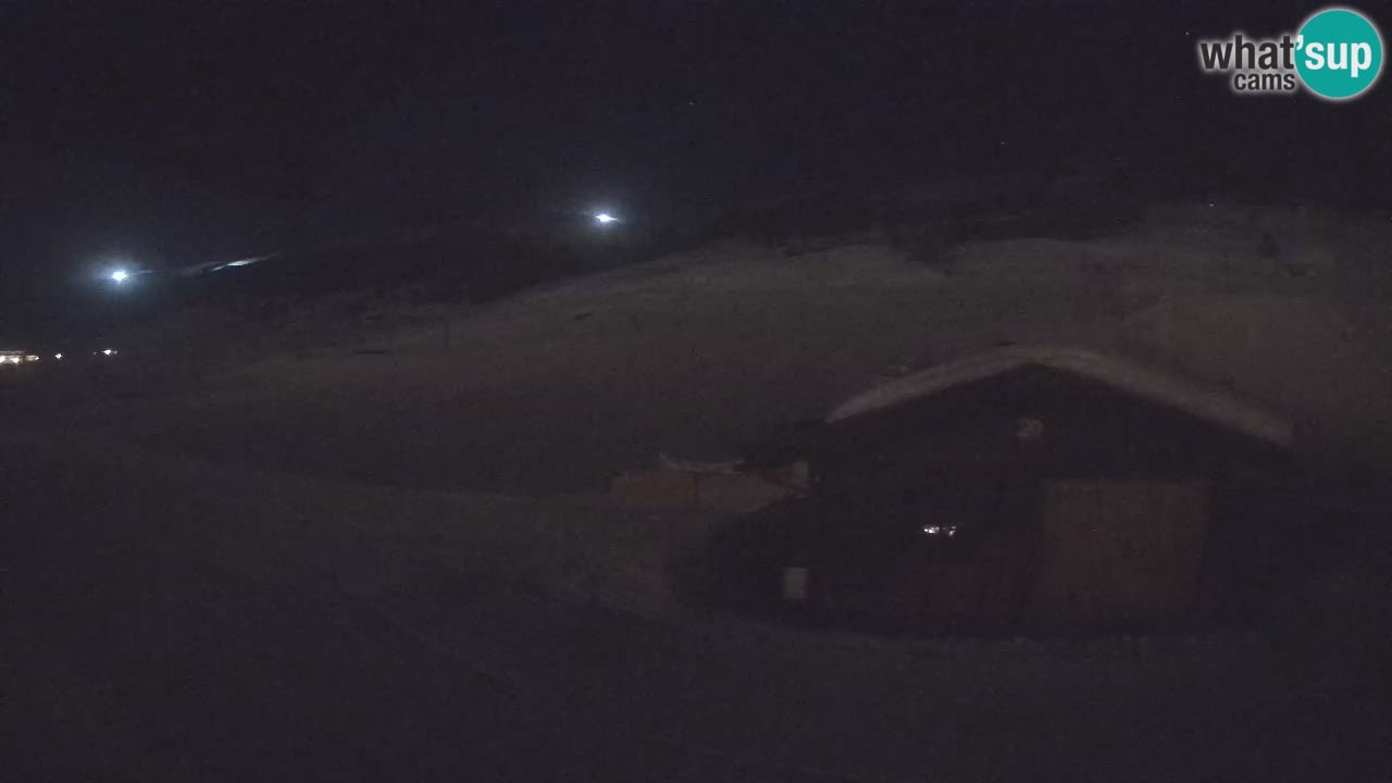 Livigno piste da sci webcam | Livigno ski