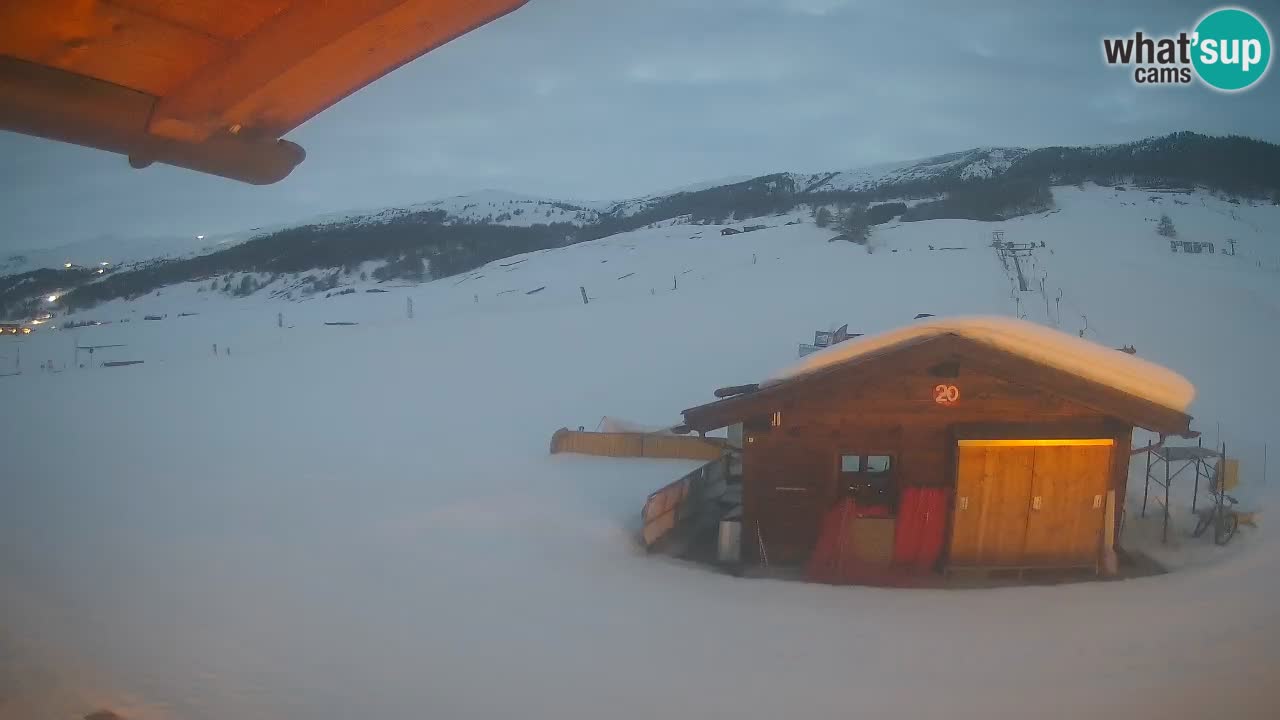 Livigno piste da sci webcam | Livigno ski