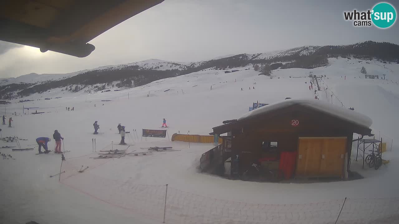 Livigno piste da sci webcam | Livigno ski