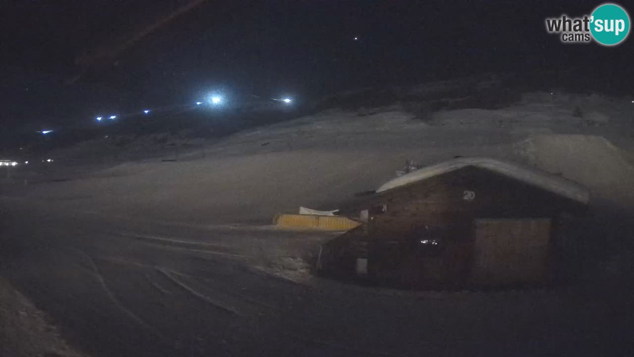 Livigno piste da sci webcam | Livigno ski