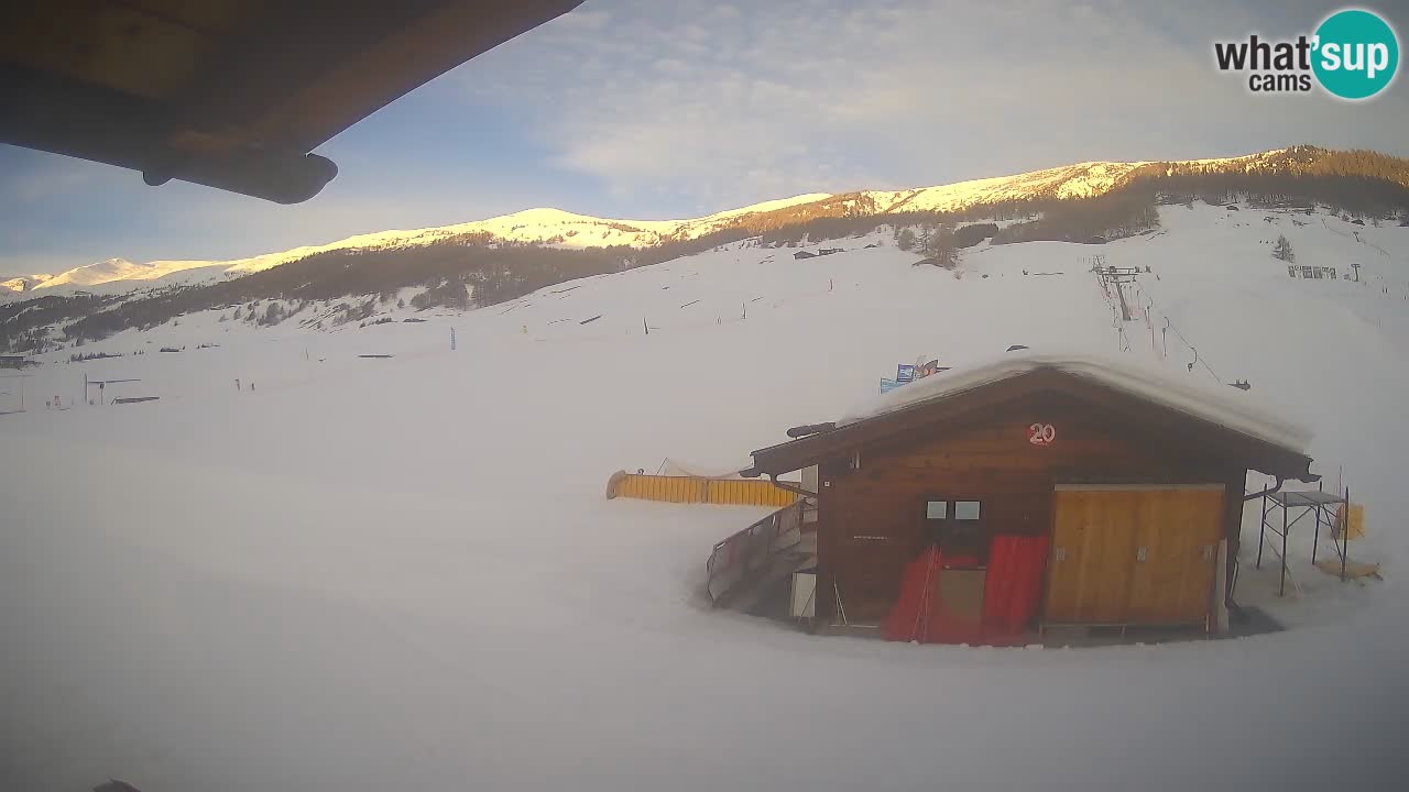 Livigno piste da sci webcam | Livigno ski