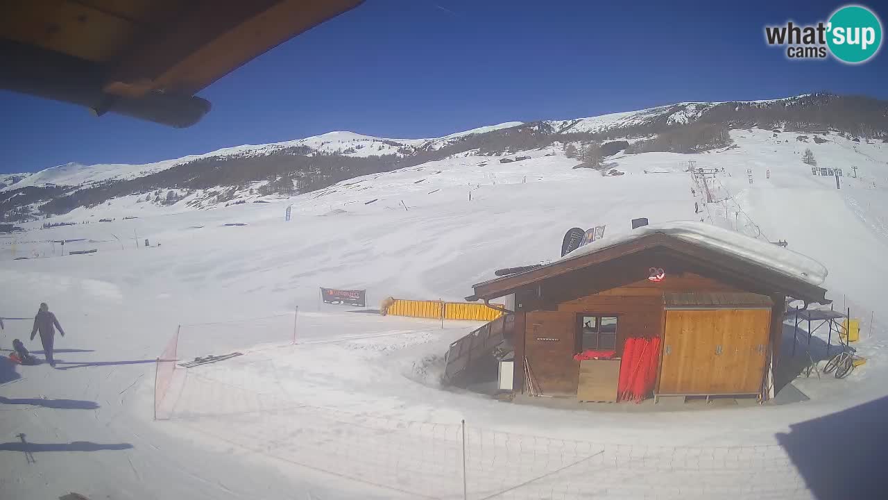 Livigno piste da sci webcam | Livigno ski