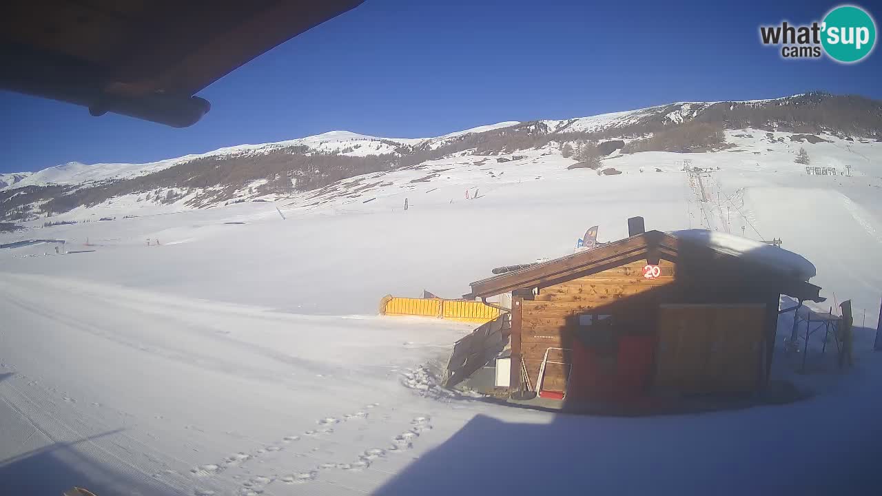 Webcam SKI Livigno snow forecast – ski area