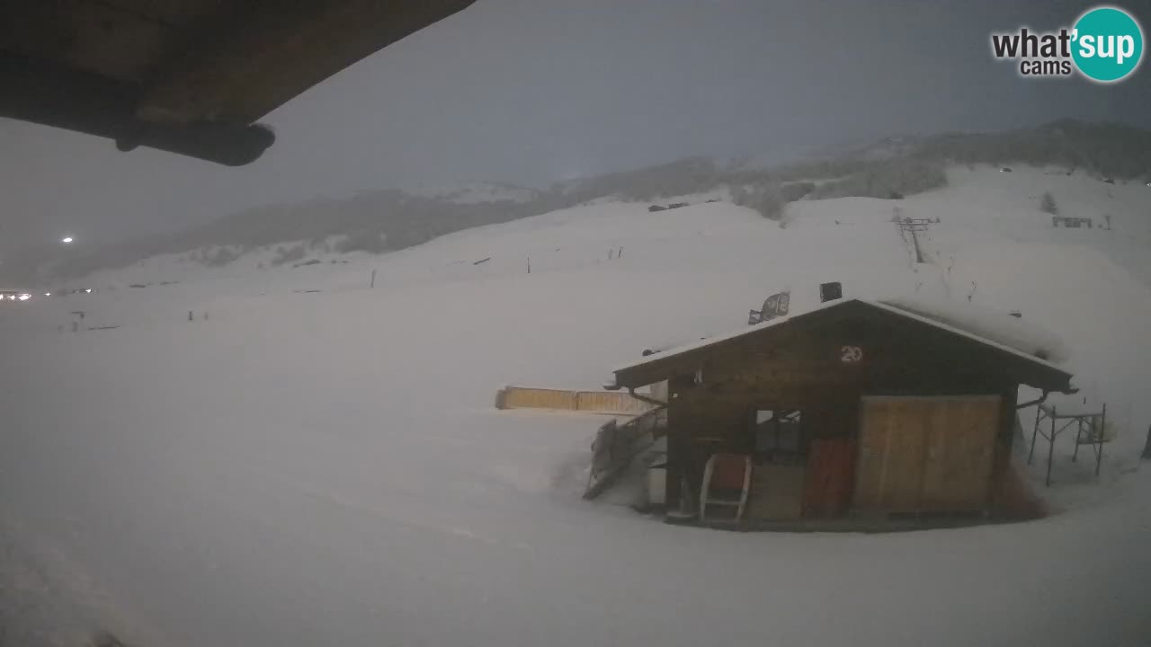 Livigno piste da sci webcam | Livigno ski