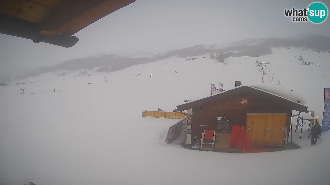 Livigno piste da sci webcam | Livigno ski