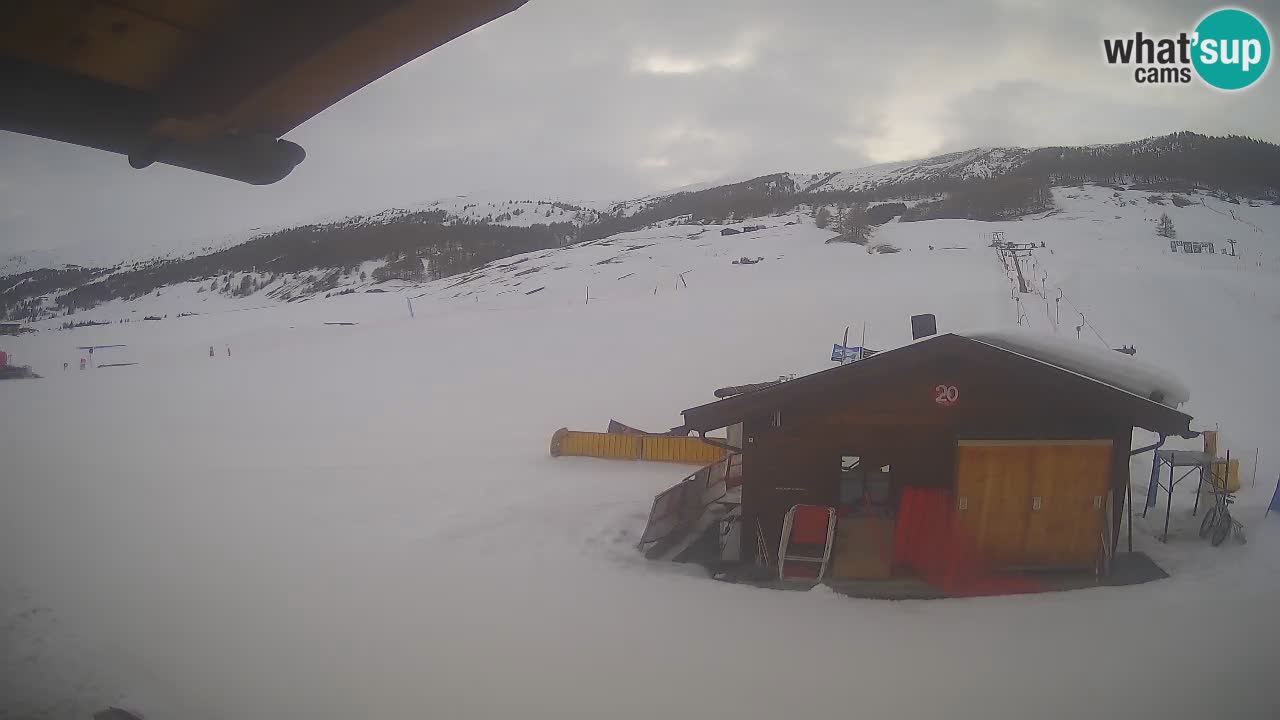 Webcam SKI Livigno snow forecast – ski area