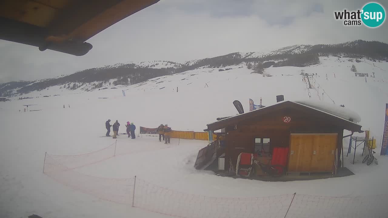 Livigno piste da sci webcam | Livigno ski