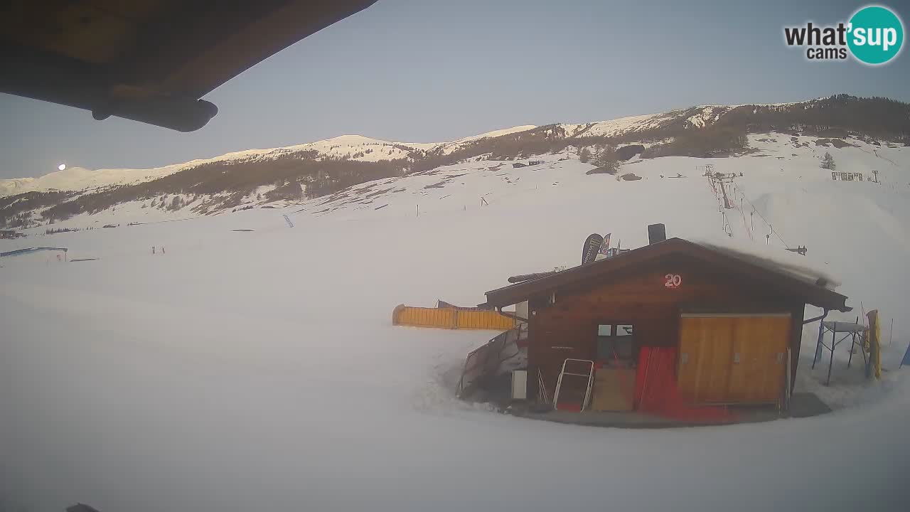 Livigno piste da sci webcam | Livigno ski