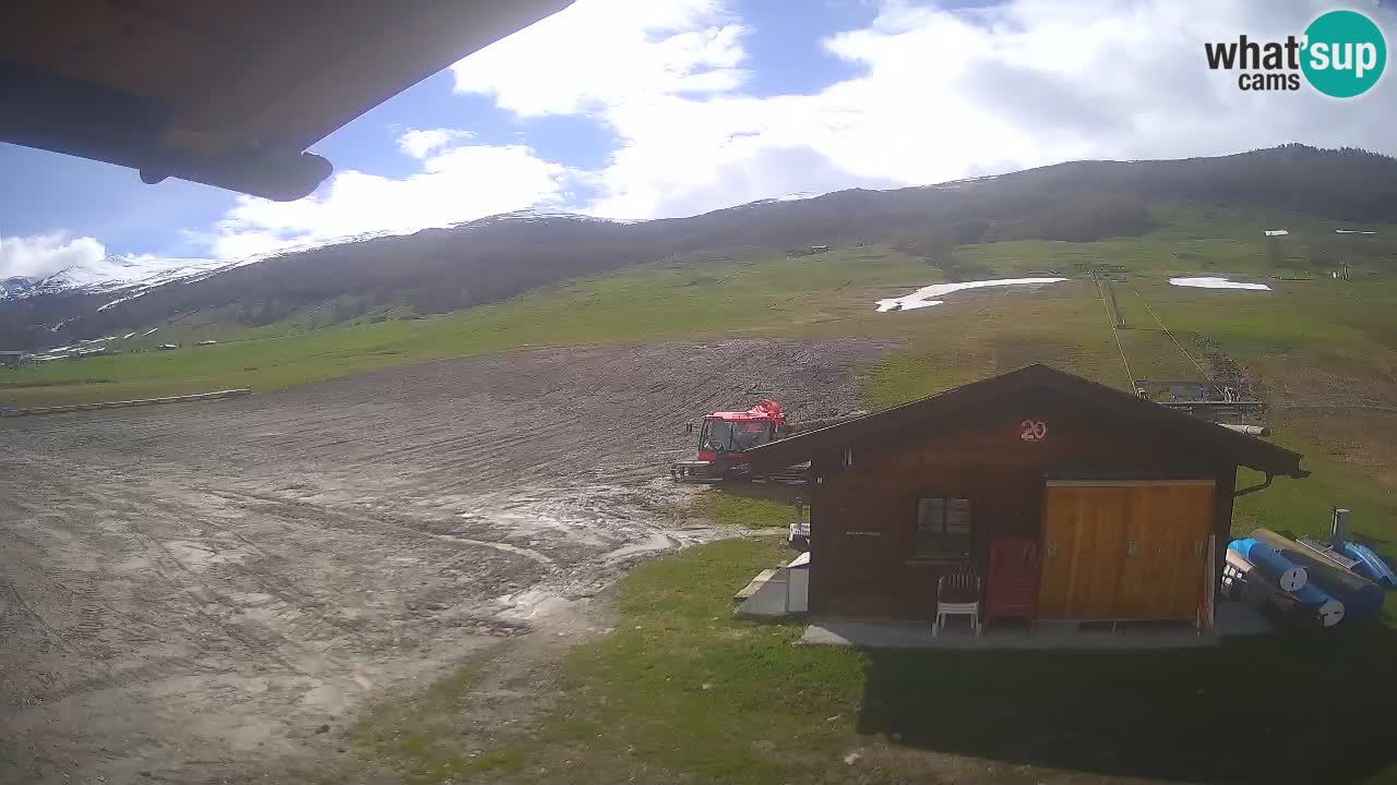 Livigno piste da sci webcam | Livigno ski