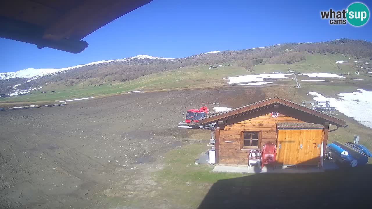 Webcam SKI Livigno snow forecast – ski area