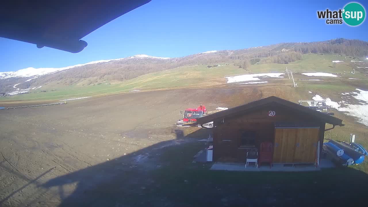 Livigno piste da sci webcam | Livigno ski