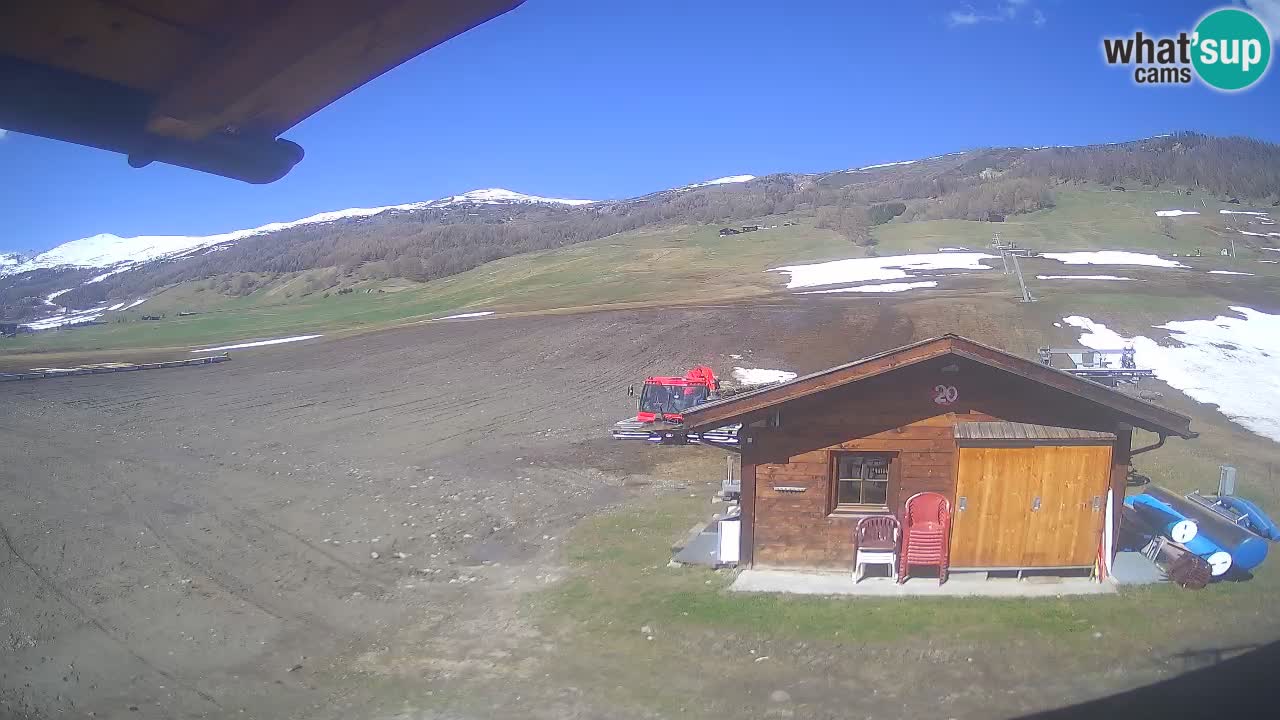 Livigno piste da sci webcam | Livigno ski