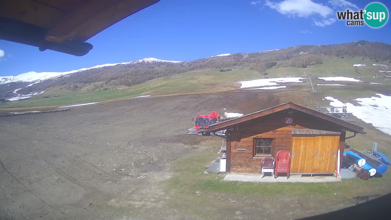 Livigno piste da sci webcam | Livigno ski