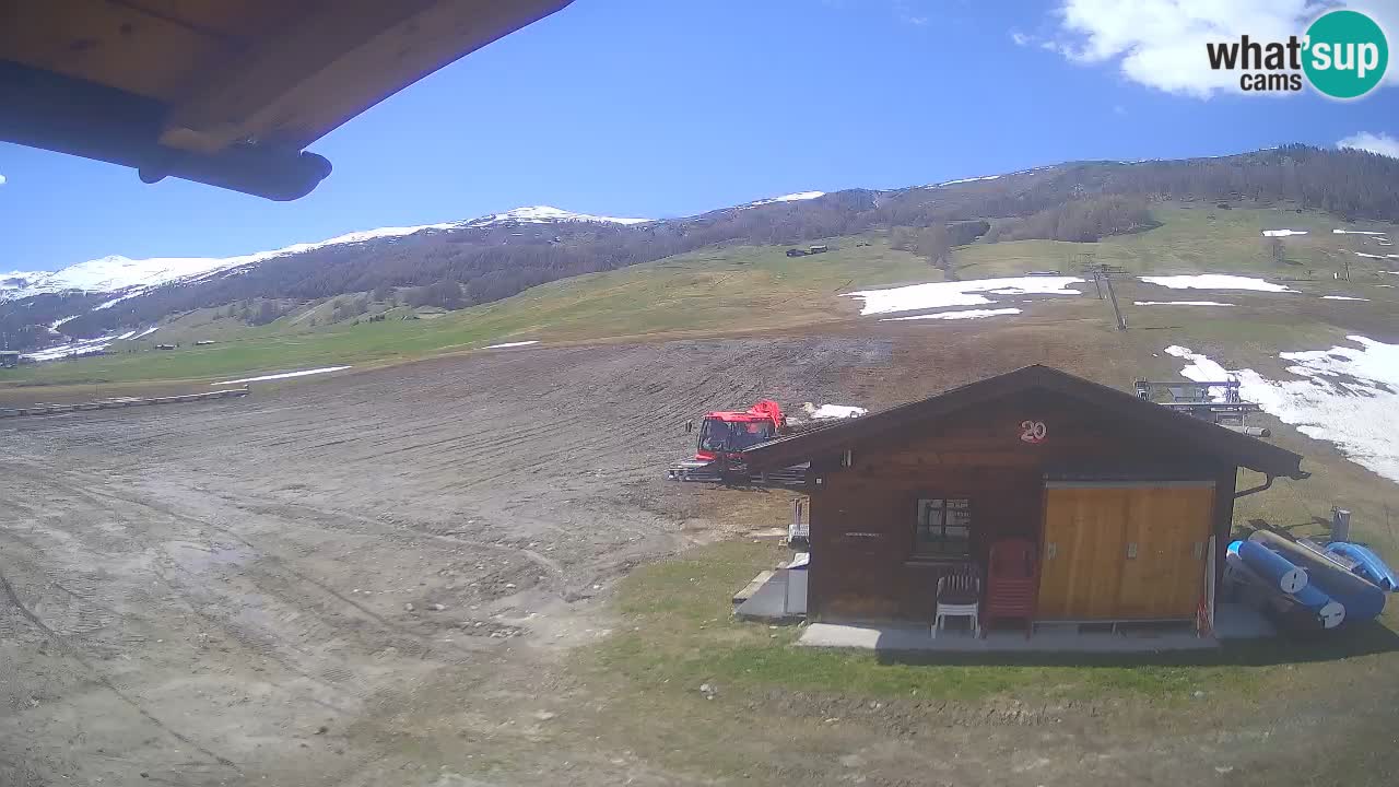 Smučišče Livigno webcam | Livigno Ski