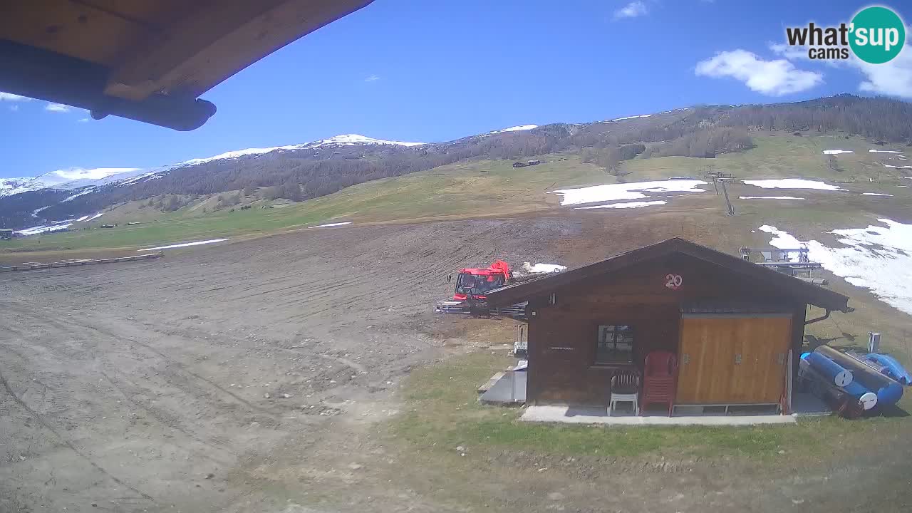 Livigno piste da sci webcam | Livigno ski