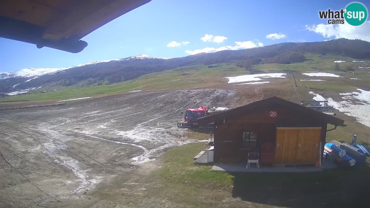 Livigno piste da sci webcam | Livigno ski