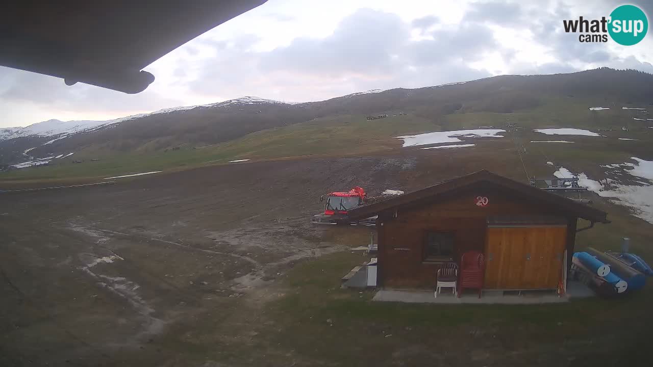 Livigno piste da sci webcam | Livigno ski