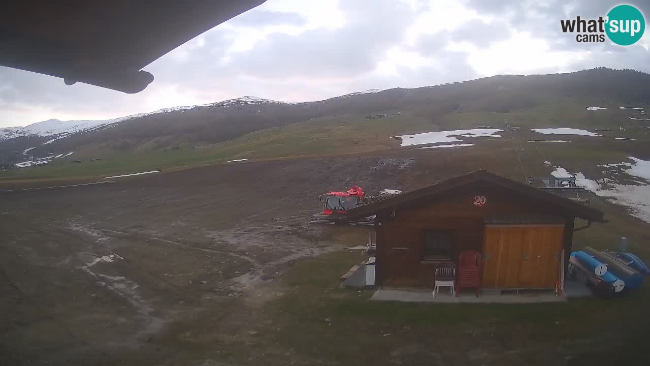 Livigno piste da sci webcam | Livigno ski
