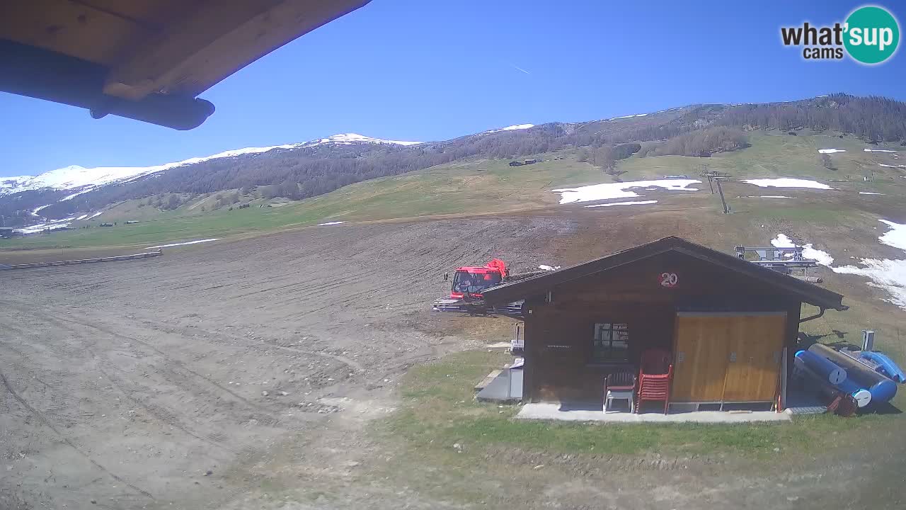 Livigno piste da sci webcam | Livigno ski