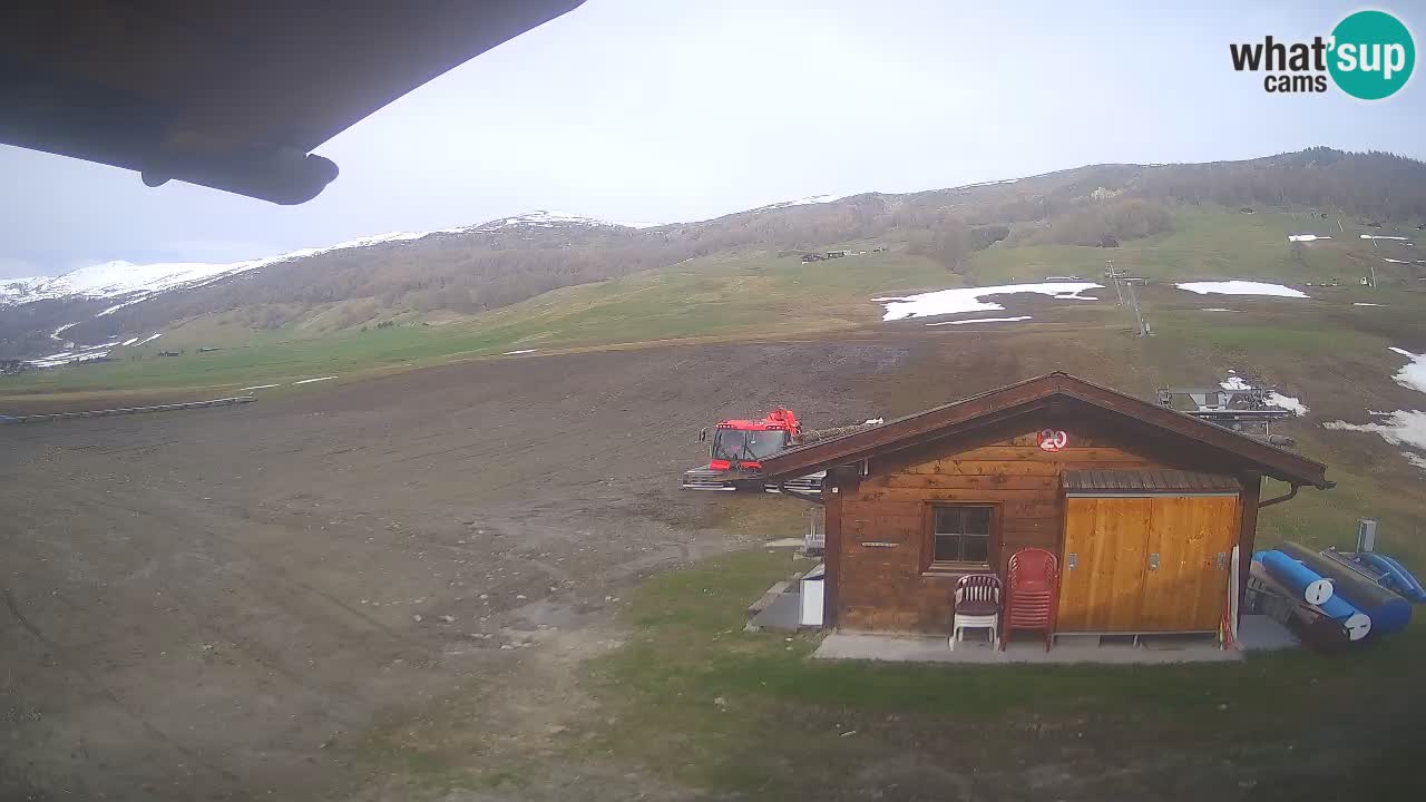 Webcam SKI Livigno snow forecast – ski area